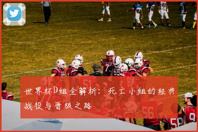世界杯D组全解析：死亡小组的经典战役与晋级之路