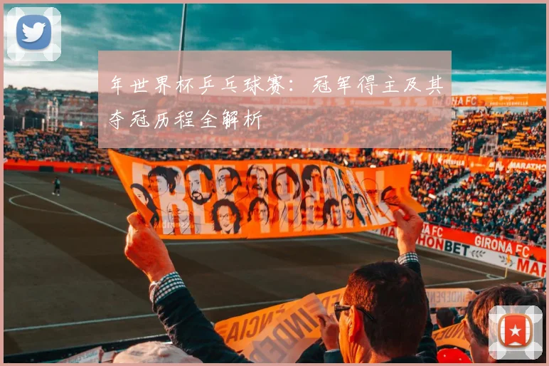 年世界杯乒乓球赛：冠军得主及其夺冠历程全解析