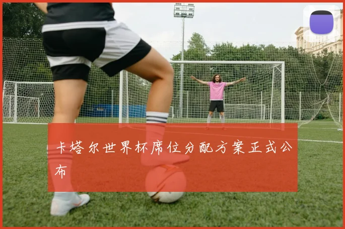 卡塔尔世界杯席位分配方案正式公布
